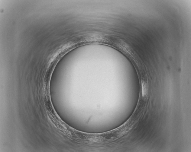 X0000056000579200508261752