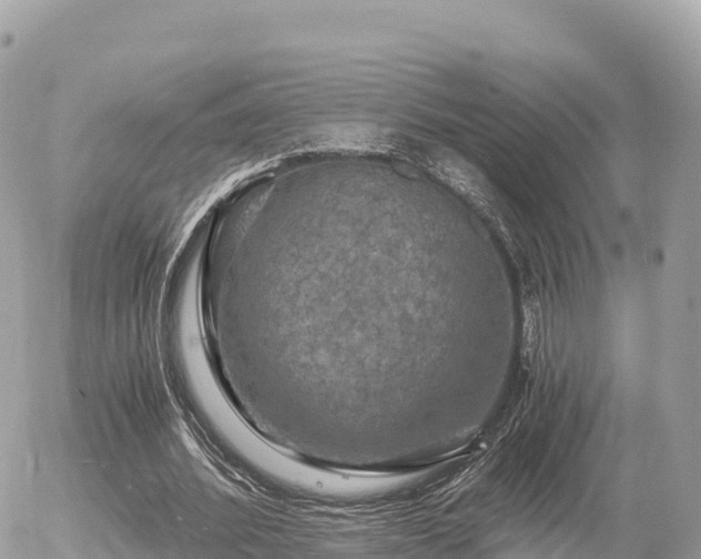 X0000056000580200508261752