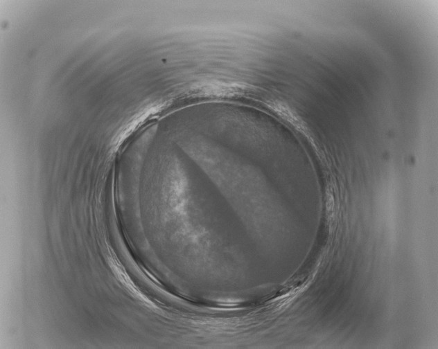 X0000056000581200508261752