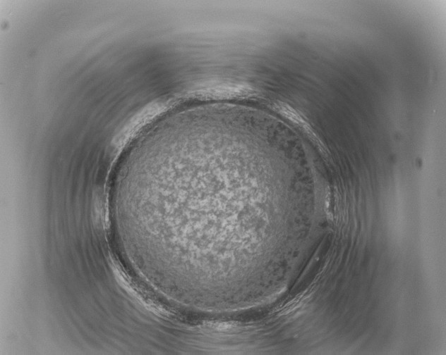 X0000056000582200508261752