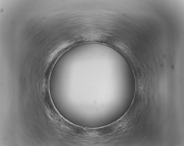 X0000056000583200508261752