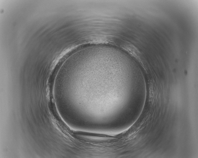 X0000056000584200508261752