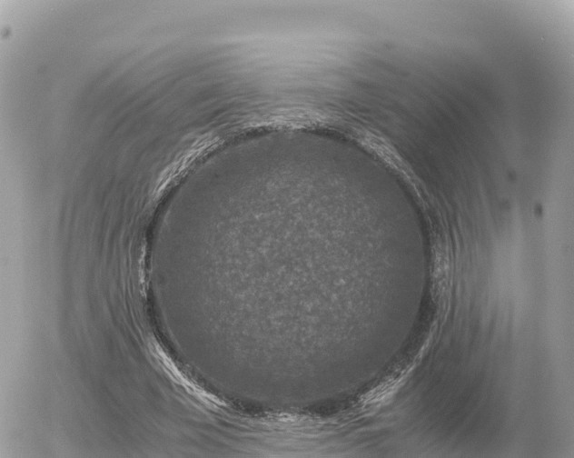 X0000056000585200508261752