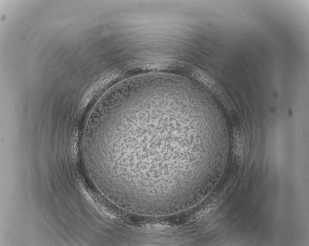 X0000056000586200508261752