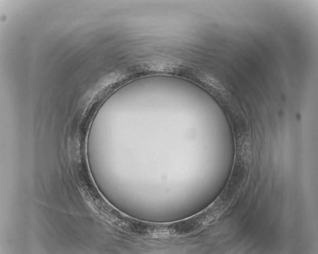 X0000056000587200508261752