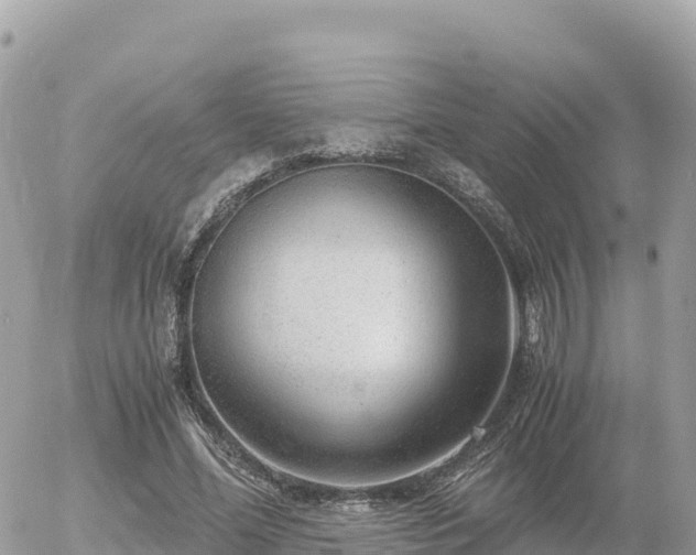 X0000056000588200508261752