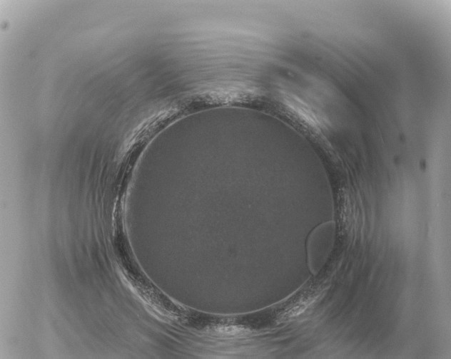 X0000056000590200508261752