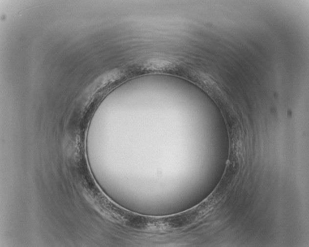 X0000056000591200508261752