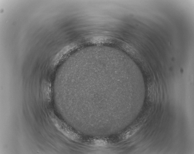 X0000056000592200508261752