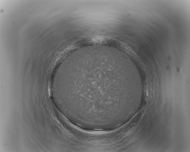 X0000056000593200508261752