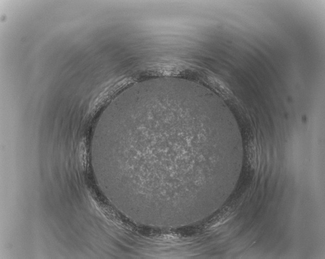 X0000056000594200508261752