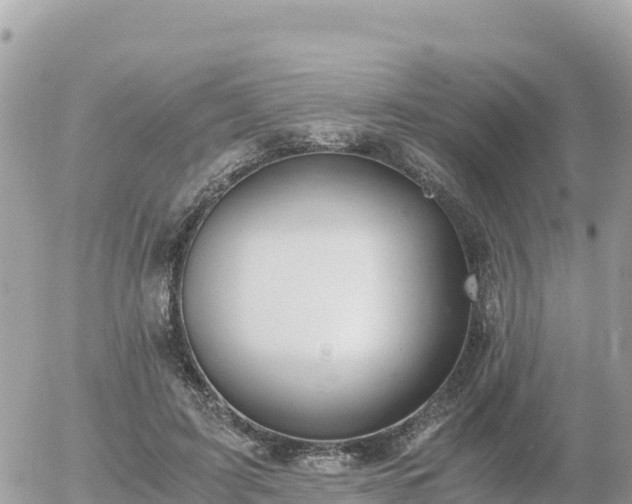 X0000056000595200508261752