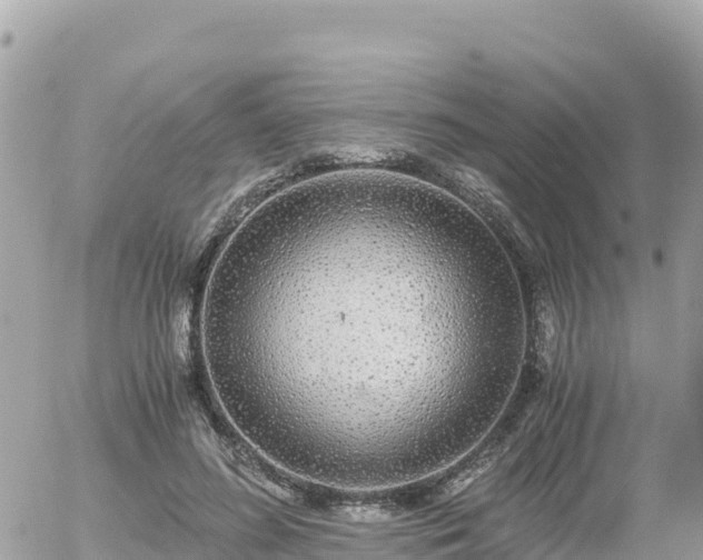 X0000056000596200508261752