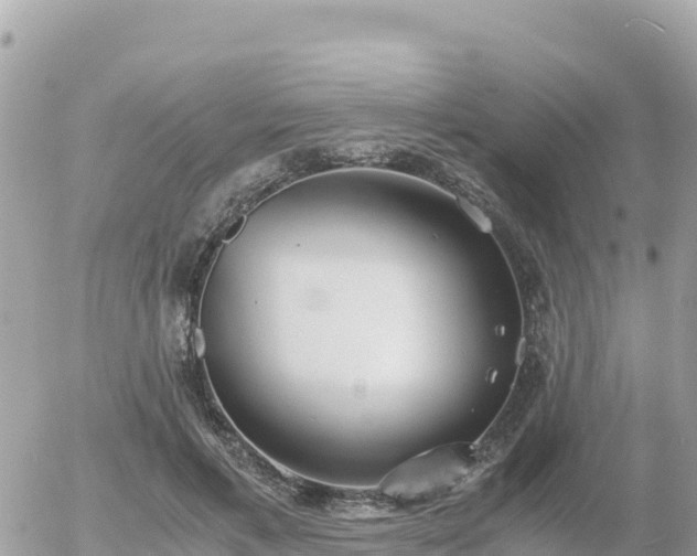 X0000056000597200508261752