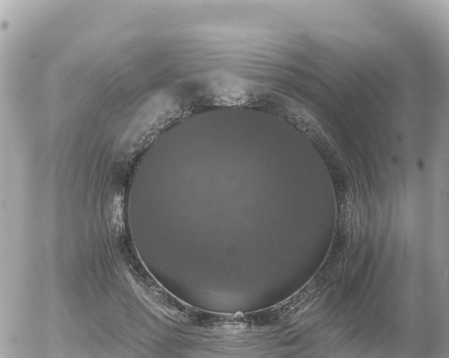 X0000056000598200508261752