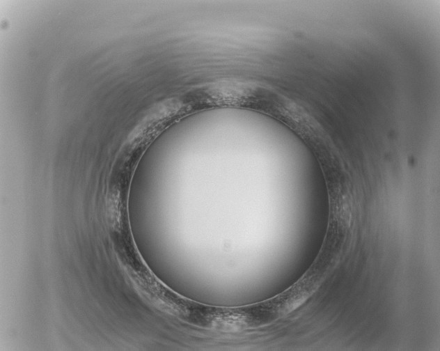 X0000056000599200508261752