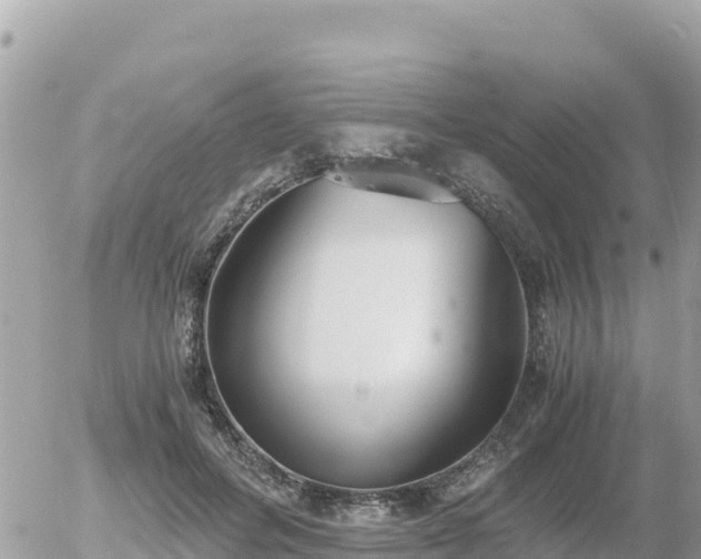 X0000056000600200508261751