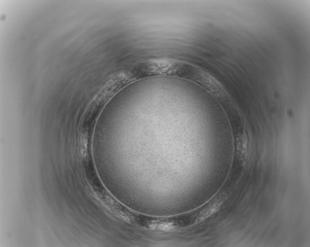 X0000056000602200508261751