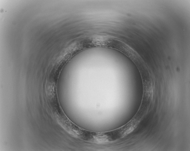 X0000056000603200508261751