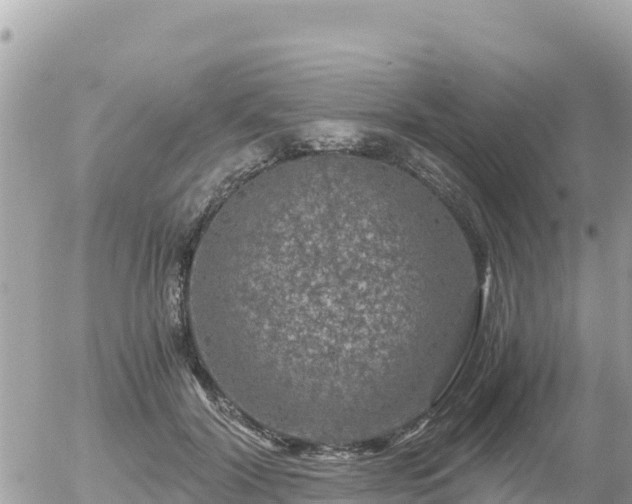 X0000056000604200508261751