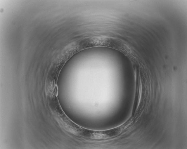 X0000056000605200508261751