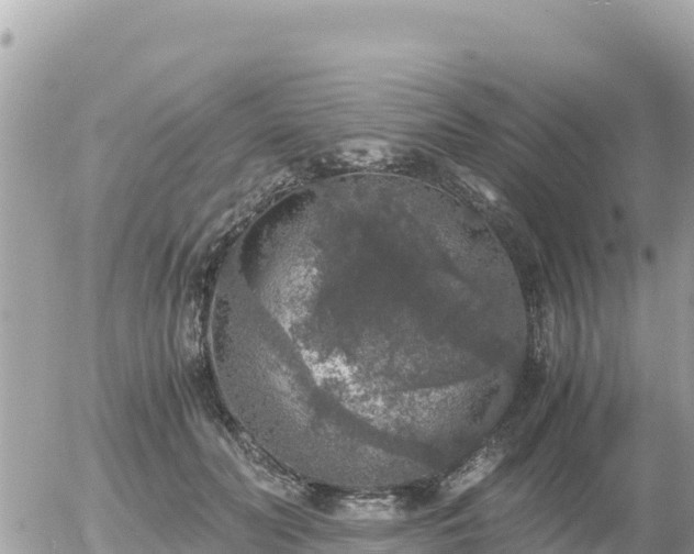 X0000056000606200508261751