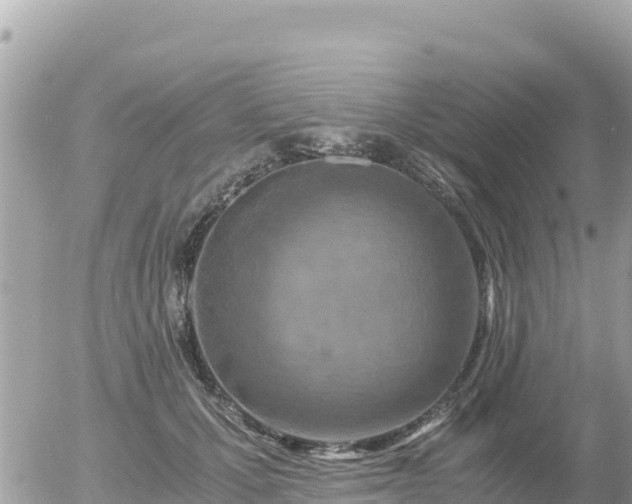 X0000056000607200508261751