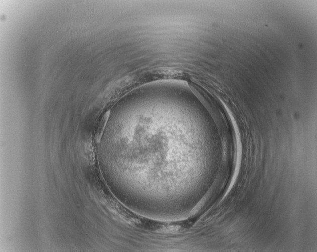 X0000056000609200508261751