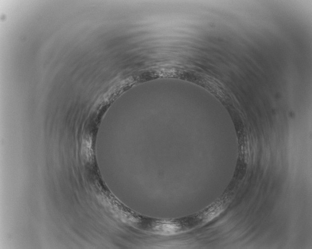 X0000056000610200508261751