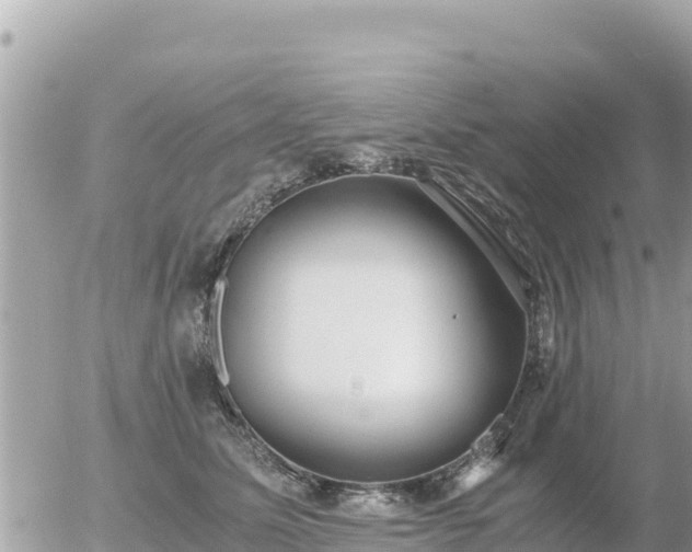 X0000056000611200508261751