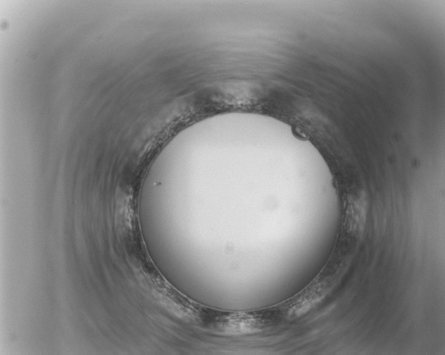 X0000056000612200508261751