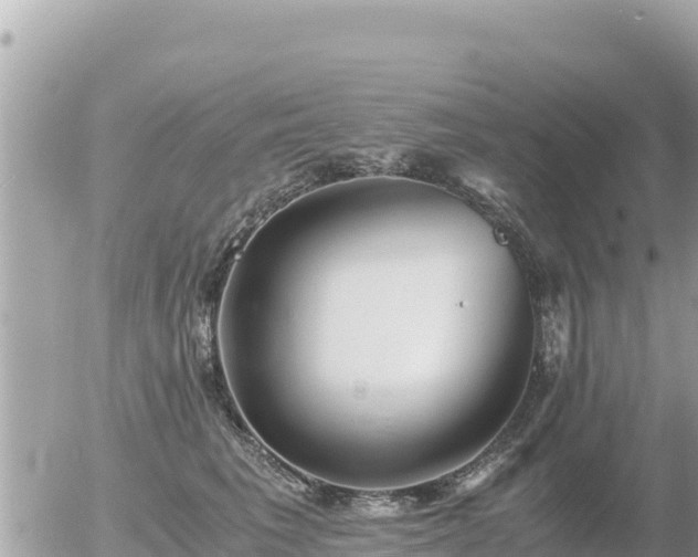 X0000056000613200508261751