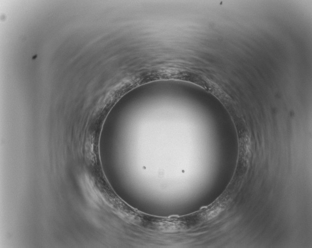 X0000056000615200508261751