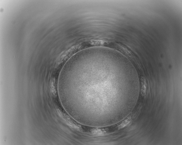 X0000056000616200508261751