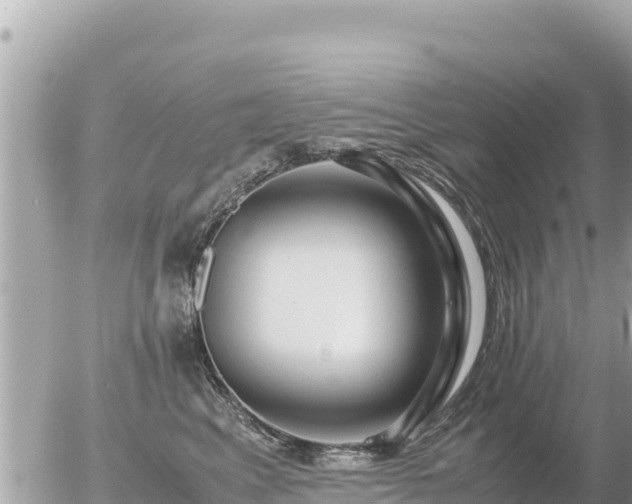 X0000056000617200508261751