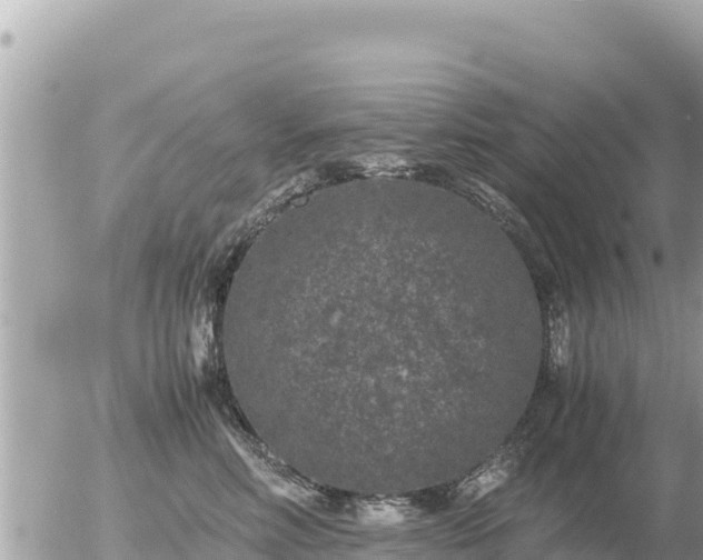 X0000056000618200508261751