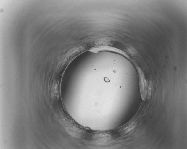 X0000056000619200508261751