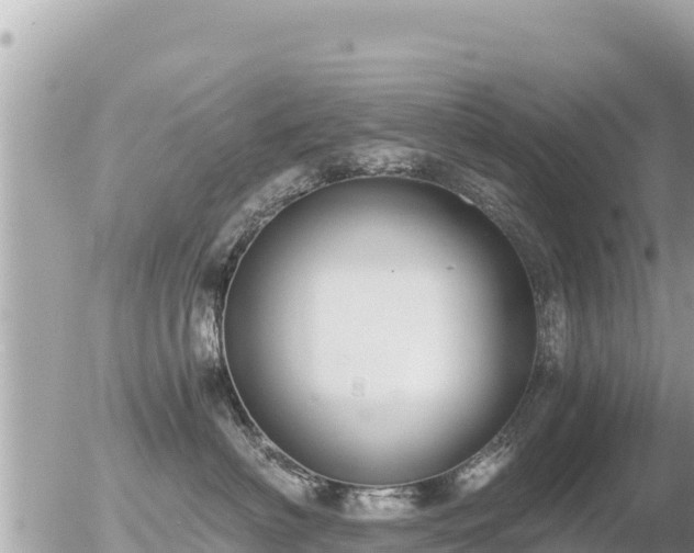 X0000056000622200508261751