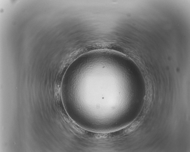 X0000056000624200508261751