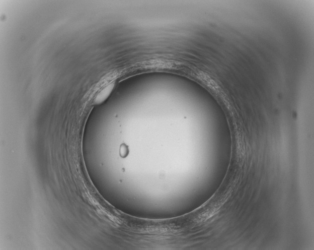 X0000056000625200508261750