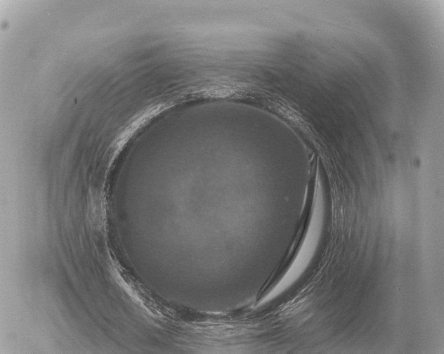 X0000056000626200508261750