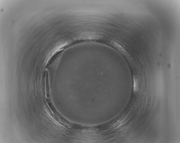 X0000056000627200508261750