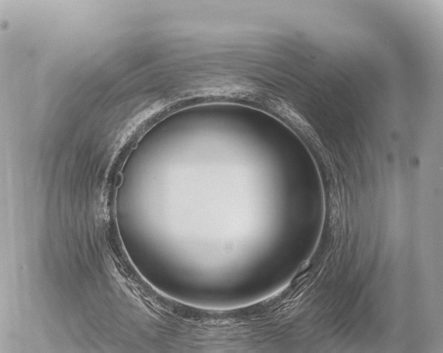 X0000056000628200508261750