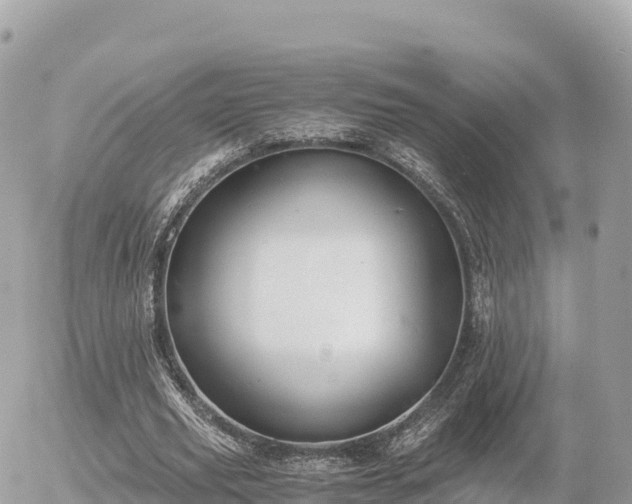 X0000056000629200508261750