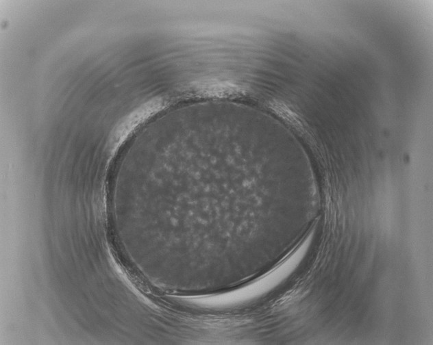 X0000056000630200508261750