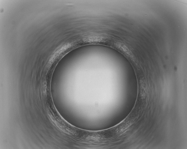 X0000056000631200508261750