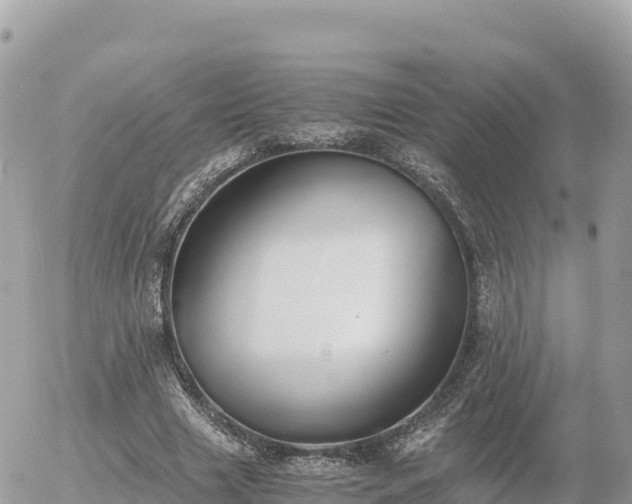 X0000056000633200508261750