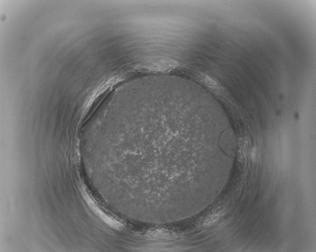 X0000056000634200508261750