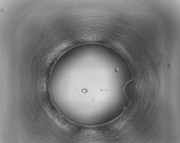 X0000056000635200508261750