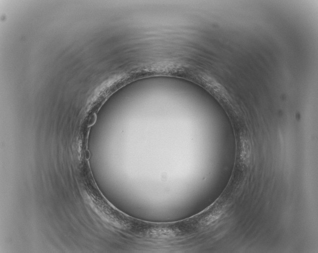 X0000056000636200508261750